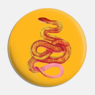 serpent,cobra,reptile,viper,venom,lizard,rattlesnake,king cobra,dragon,hydra,poison,venomous,plumber's snake,pythonidae,pythons,auger,python,squamata,serpentine,worm,big,ophidian,rattlesnakes,medusa,snakebite Pin