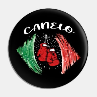 Canelo world champion Pin