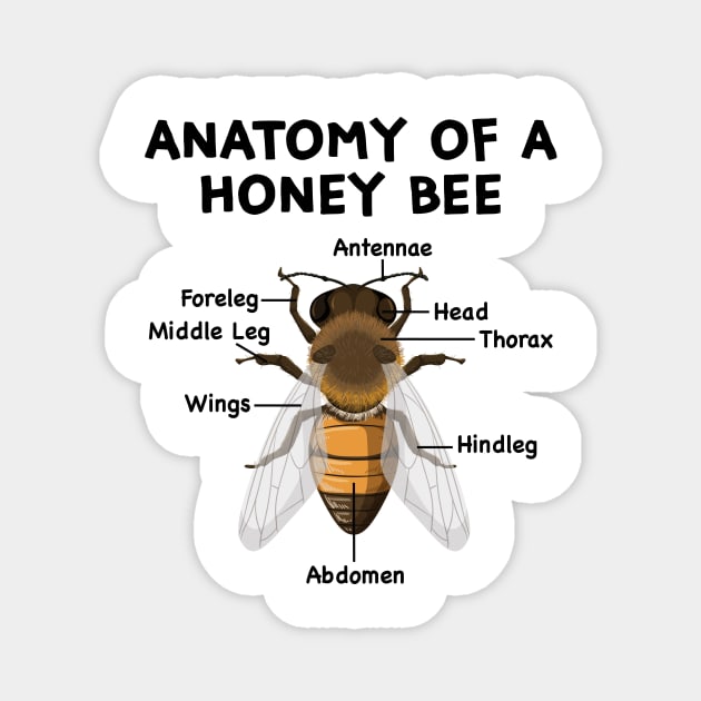Anatomy of a Bee Beekeeper Beekeeping Magnet by Wakzs3Arts