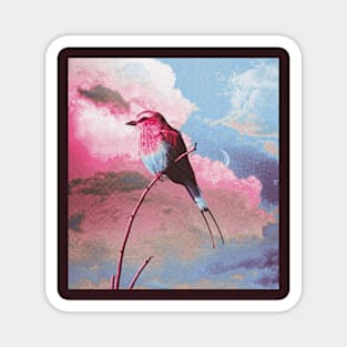 Colorful bird sky Magnet