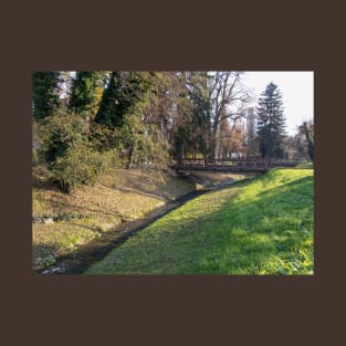 Pond under a wooden bridge in nature with sunlight T-Shirt