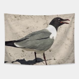 Beautiful photograph of a funny seagull with its beak open Tapestry