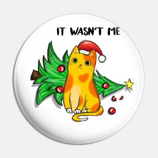 It Wasn't Me Pin