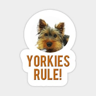 Yorkies Rule! Magnet