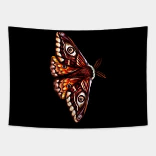 MOTH_2 Tapestry