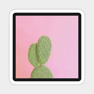 Pink Cactus Magnet