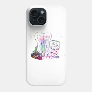 Tooth anatomy Phone Case