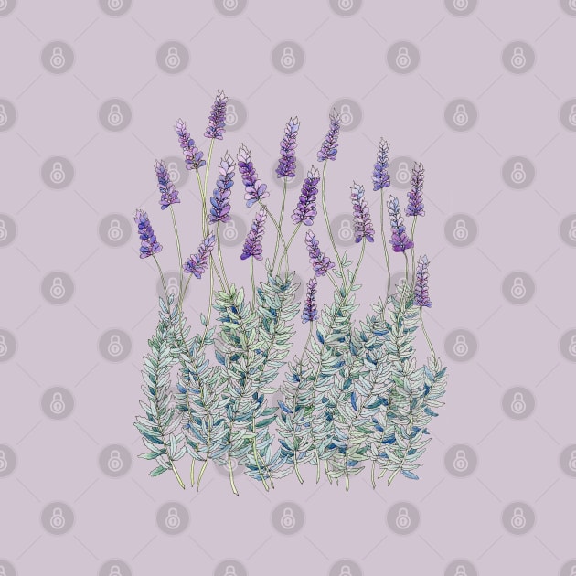 Lavender, Illustration by JessicaRose