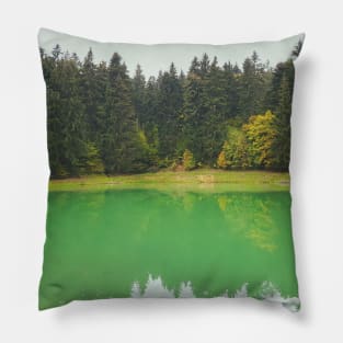 Forest Lake With Reflection In Water Pillow