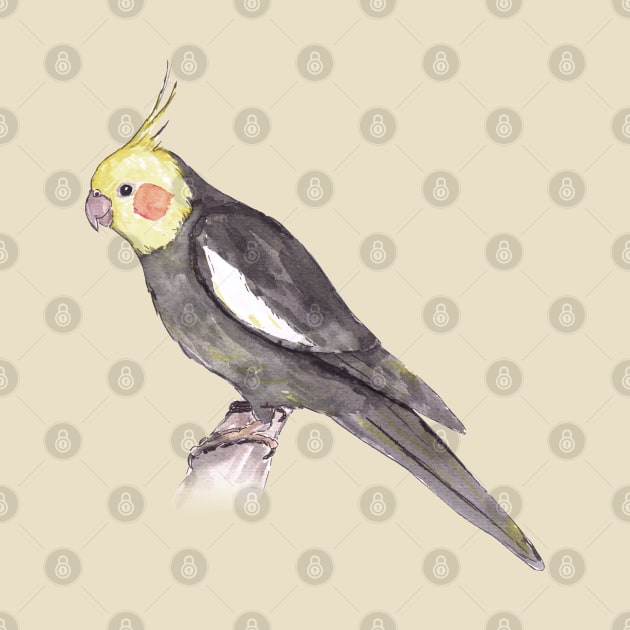 Cockatiel by Bwiselizzy