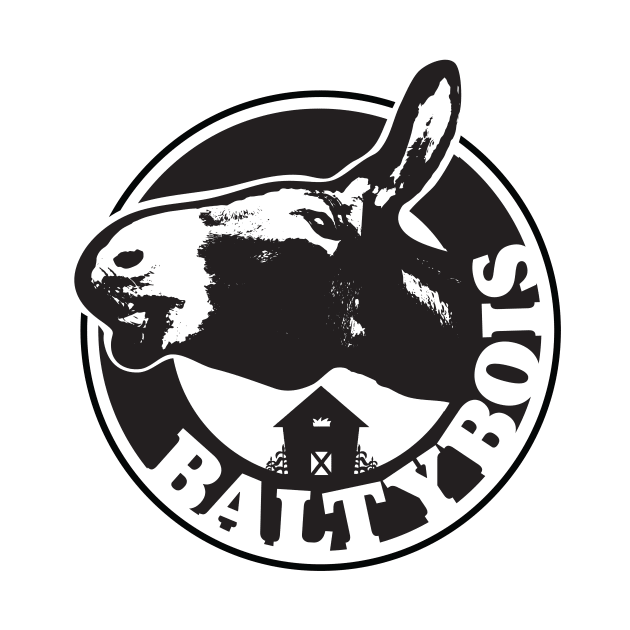 Baltybois youtube Logo by ToRah Enterprises