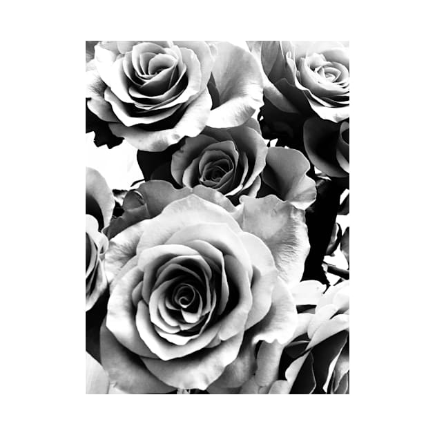 Roses by BlackWhiteBeige