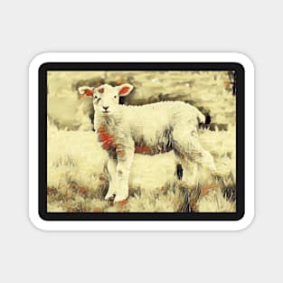 White Lamb In Field Magnet