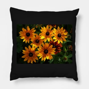 Orange Daisies Pillow