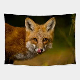 Red Fox Tapestry