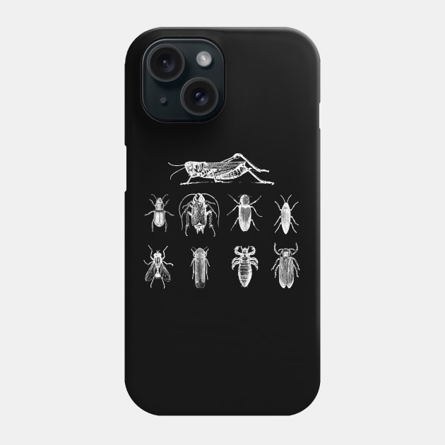 Insect - Insects Phone Case by Kudostees