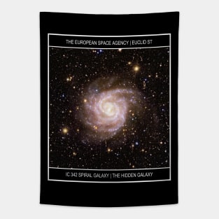 Euclid IC 342 Poster Tapestry