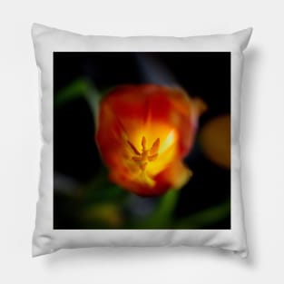 Red Tulip Close Up Pillow