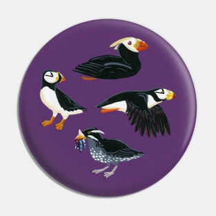 Gouache Purple Puffins Pin