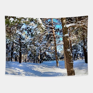 Scene at the Sormovsky Park in Nizhny Novgorod with pine trees, foliage, trunks, snow and trail Tapestry