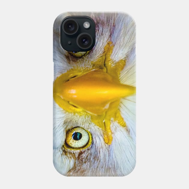 Bald eagle head Phone Case by dalyndigaital2@gmail.com