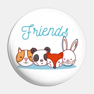 Friends Pin