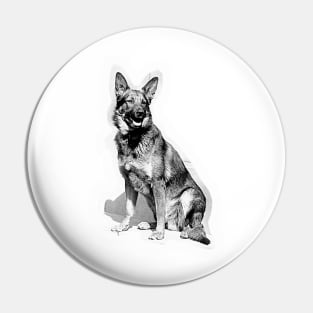 Vintage German Shepherd dog, a beautiful purebred dog Pin