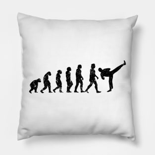 Taekwondo Evolution Pillow