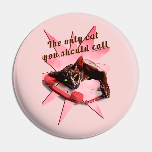 The only cat you should call Pin by Oneliest