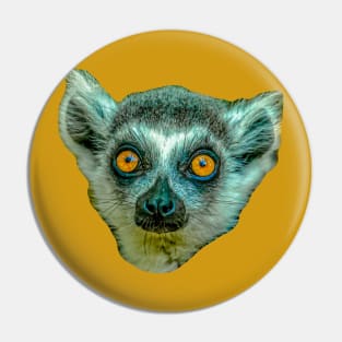 Eyes of a Ring Tailed Lemur Pin