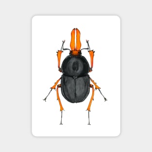 Orange & Black bug Magnet