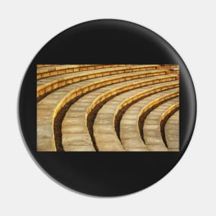 'Talons' (amphitheater) Pin