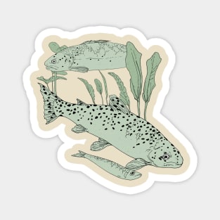 Fishes Magnet