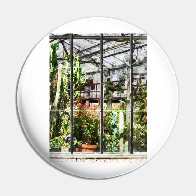 Greenhouse With Large Cactus Pin by SusanSavad