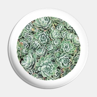 Succulent Bed Pin