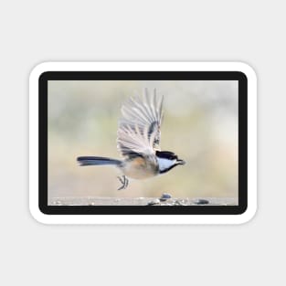 Chickadee departure Magnet