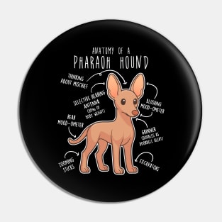 Pharaoh Hound Dog Anatomy Pin