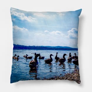 Duck lake Pillow