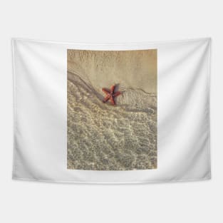 Star Fish Tapestry