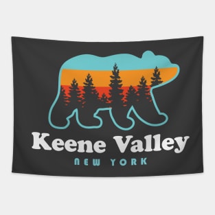 Keene Valley NY Adirondacks Bear Adirondack Mountains Tapestry