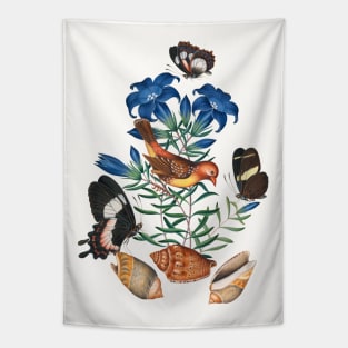 Red Avadavat, Marsh gentian, common sawfly, Fluminense swallowtail and shells_ Tapestry