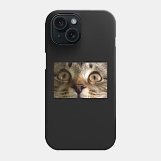 Tabby Kitten Eyes Phone Case