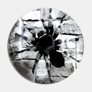 Spider Black and White Spray Paint Wall Pin