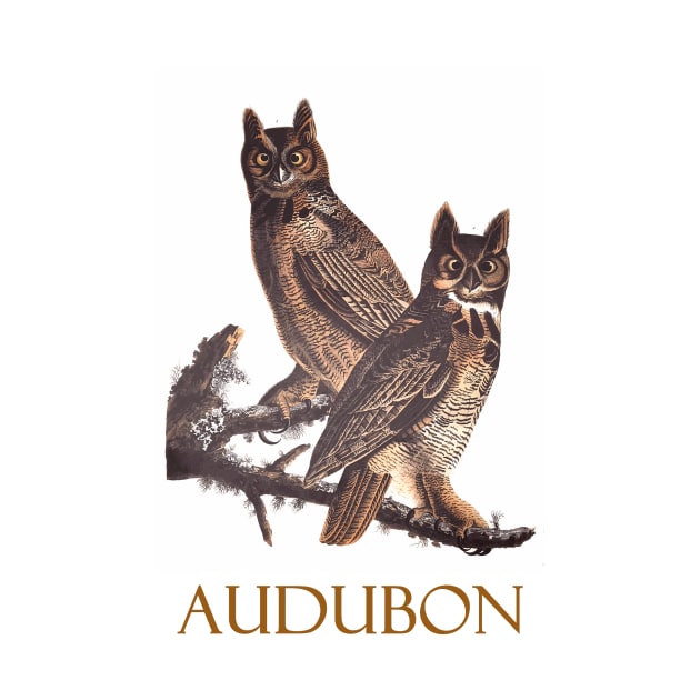 Great Horned Owl by John James Audubon by Naves