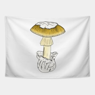 Amanita calyptroderma Tapestry