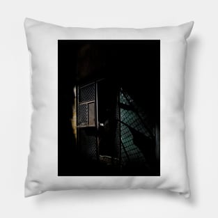 Step To The Fence Pillow