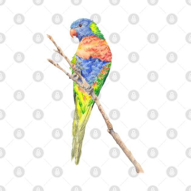 Rainbow Lorikeet painting by ZoyaArt