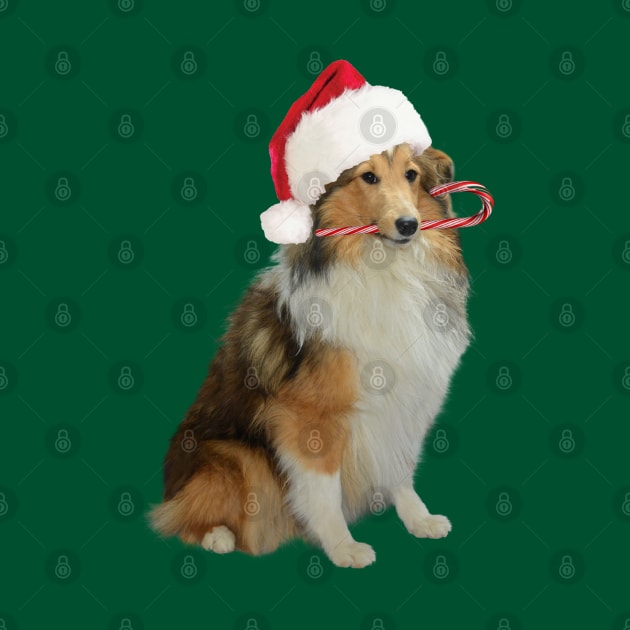 Xmas Sheltie by Madblossom