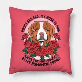 Toller Pink Nose Jokes For Valentine Pillow