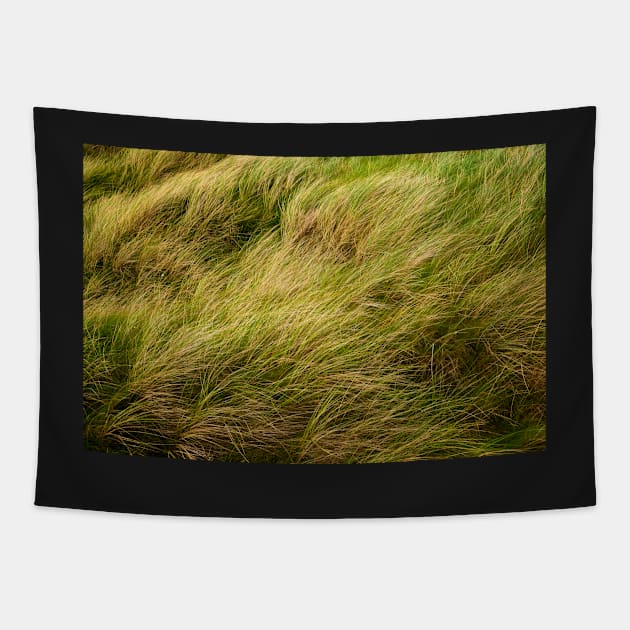 Dune Grass Tapestry by TTDean